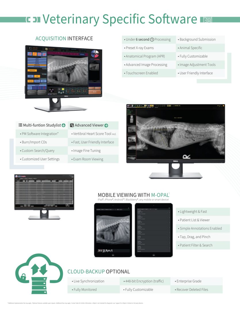 2020 Imaging Veterinary (page 2) brochure
