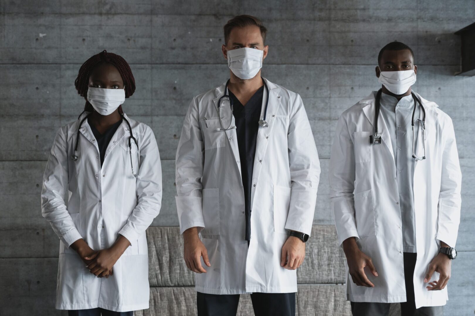 Veterinary team examining a dog